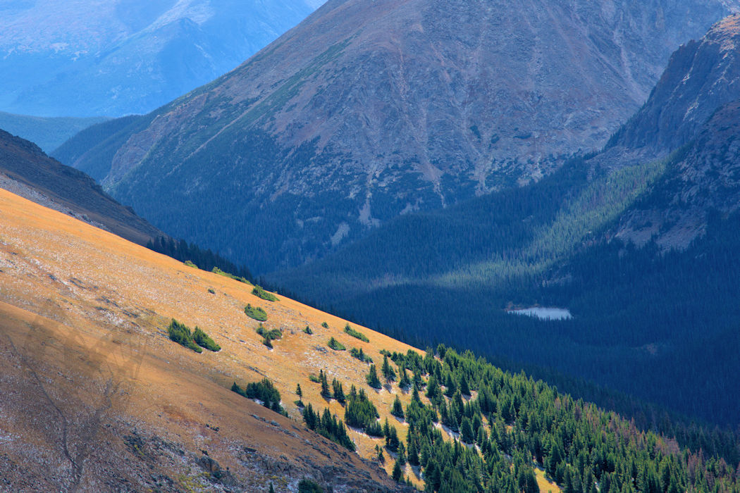 Rocky Mountains View